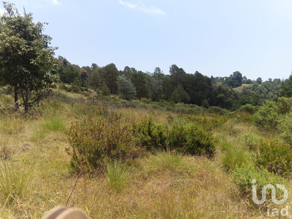 TERRENO EN VENTA EN HIDALGO COL LOS REYES