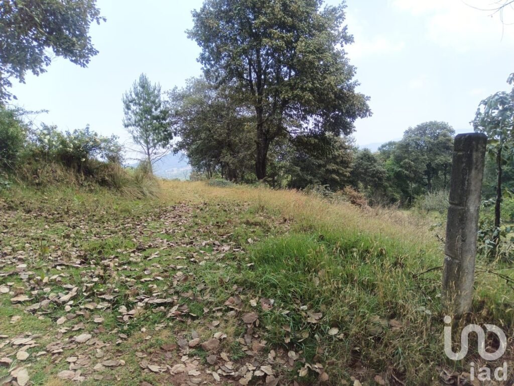 TERRENO EN VENTA EN HIDALGO COL LOS REYES
