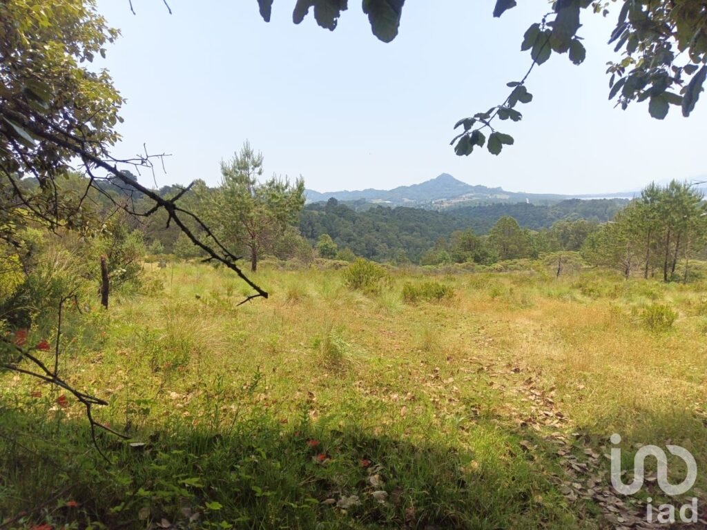 TERRENO EN VENTA EN HIDALGO COL LOS REYES