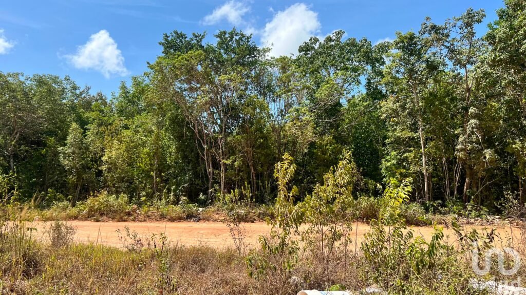 TERRENO EN VENTA  1 Ha.   EN AV. ROBLES