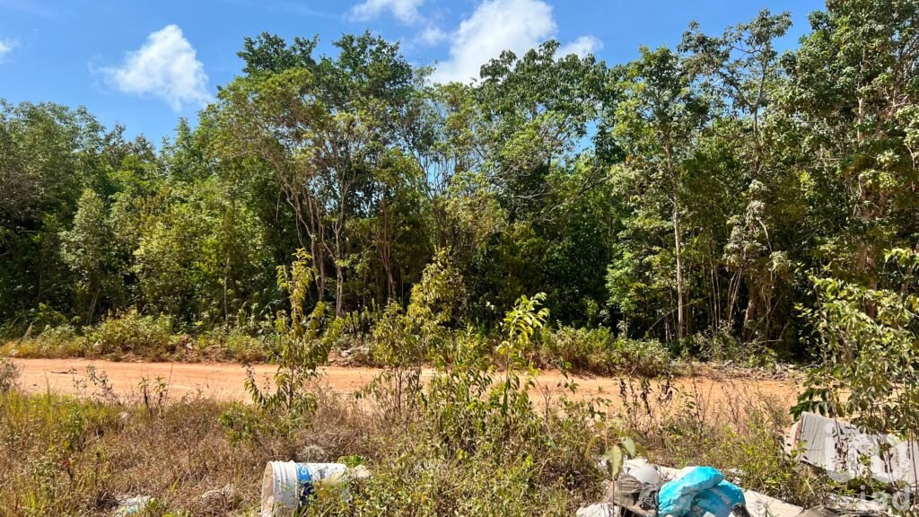 TERRENO EN VENTA  1 Ha.   EN AV. ROBLES