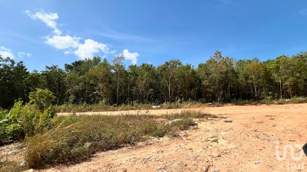 TERRENO EN VENTA  1 Ha.   EN AV. ROBLES