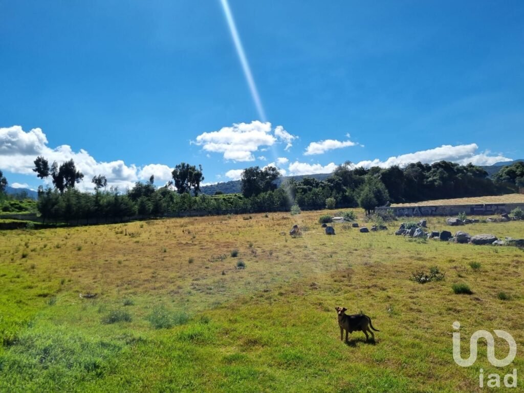 Terreno en venta Tenango del Valle 8600 m2