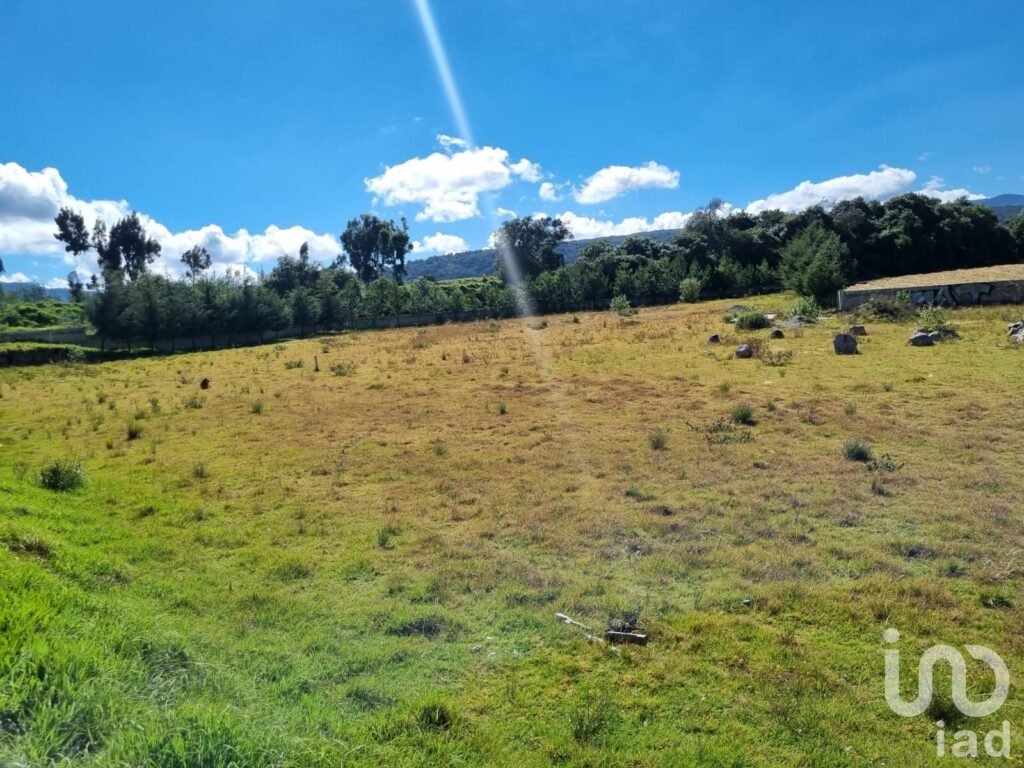 Terreno en venta Tenango del Valle 8600 m2