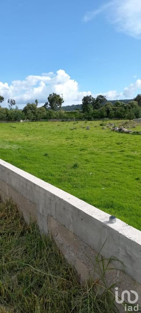 Terreno en venta Tenango del Valle 8600 m2
