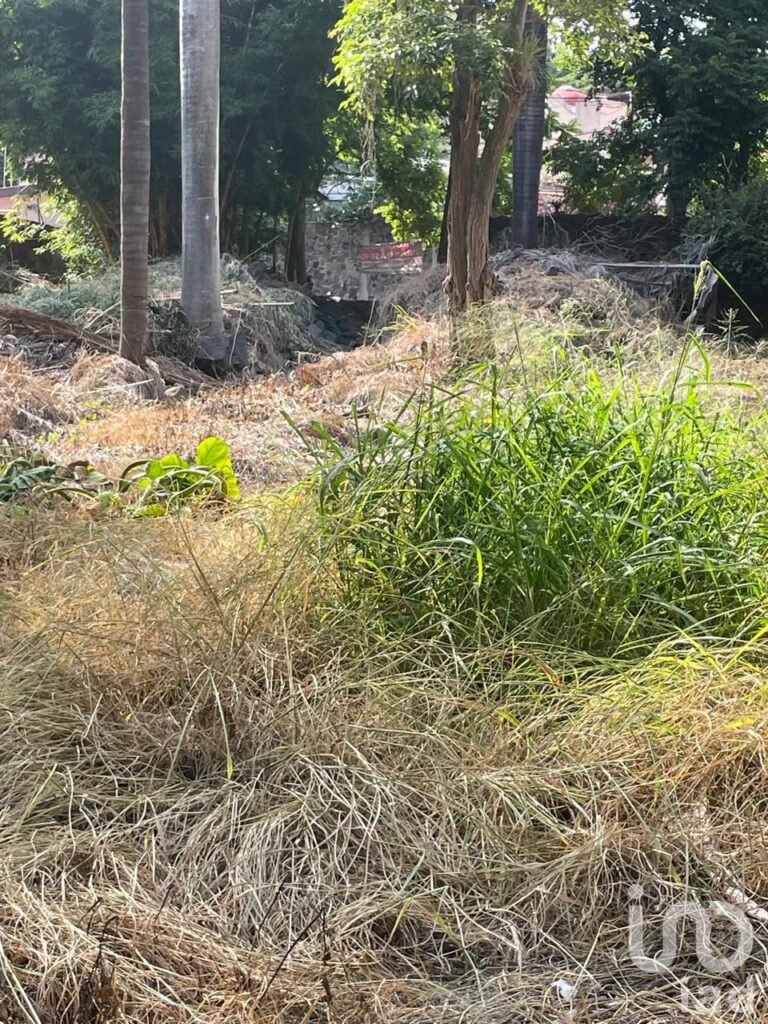 VENTA DE OPORTUNIDAD, TERRENO AMPLIO UBICACIÓN PRIVILEGIADA