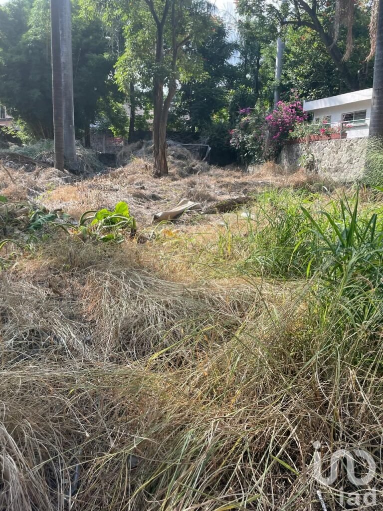 VENTA DE OPORTUNIDAD, TERRENO AMPLIO UBICACIÓN PRIVILEGIADA
