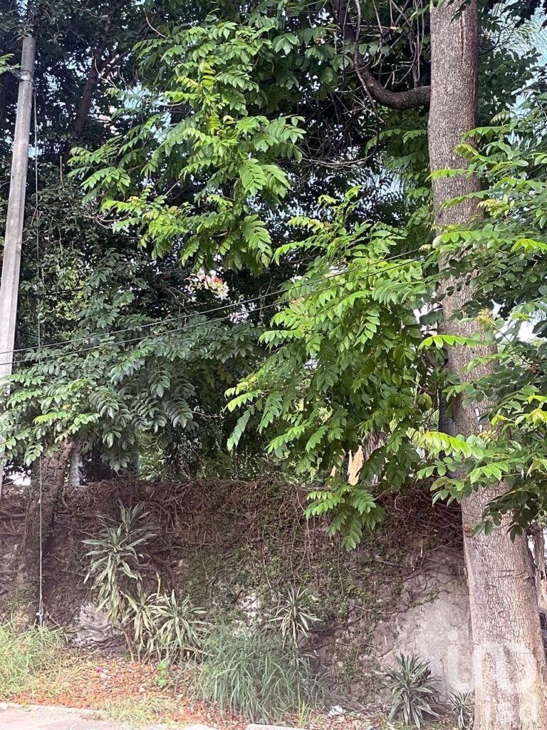 VENTA DE OPORTUNIDAD, TERRENO AMPLIO UBICACIÓN PRIVILEGIADA