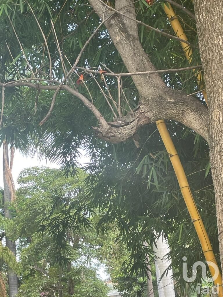 VENTA DE OPORTUNIDAD, TERRENO AMPLIO UBICACIÓN PRIVILEGIADA
