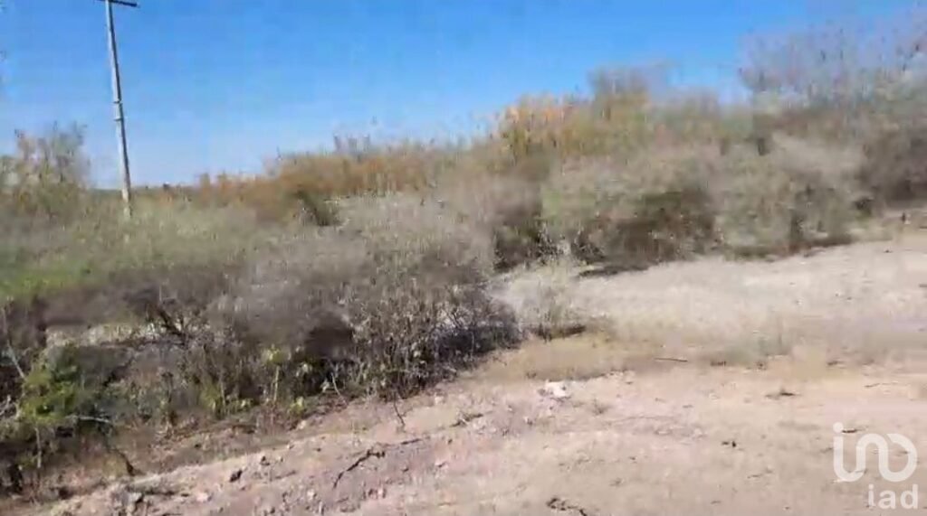 Venta de Terreno de 4.7 Has. Los Sabinos, en Cadereyta. Alta Demanda para Fraccionar $12,700,000