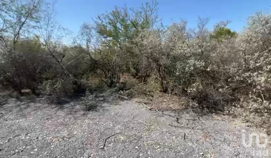 Venta de Terreno de 4.7 Has. Los Sabinos, en Cadereyta. Alta Demanda para Fraccionar $12,700,000