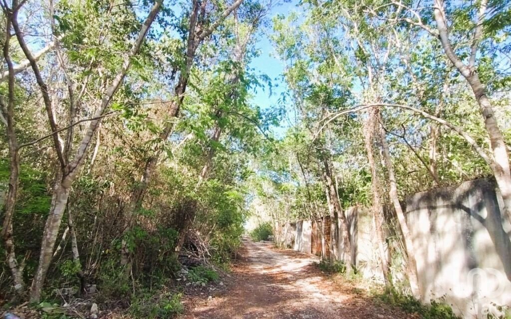 Lote residencial en Venta, Region 8 Tulum