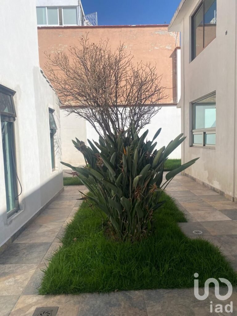 CASA CÉNTRICA CON GRAN JARDÍN Y SALÓN DE EVENTOS EN TERRENO DE 800 METROS CUADRADOS, EN VENTA