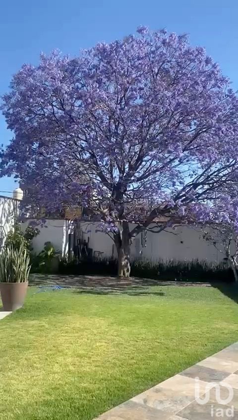 CASA CÉNTRICA CON GRAN JARDÍN Y SALÓN DE EVENTOS EN TERRENO DE 800 METROS CUADRADOS, EN VENTA