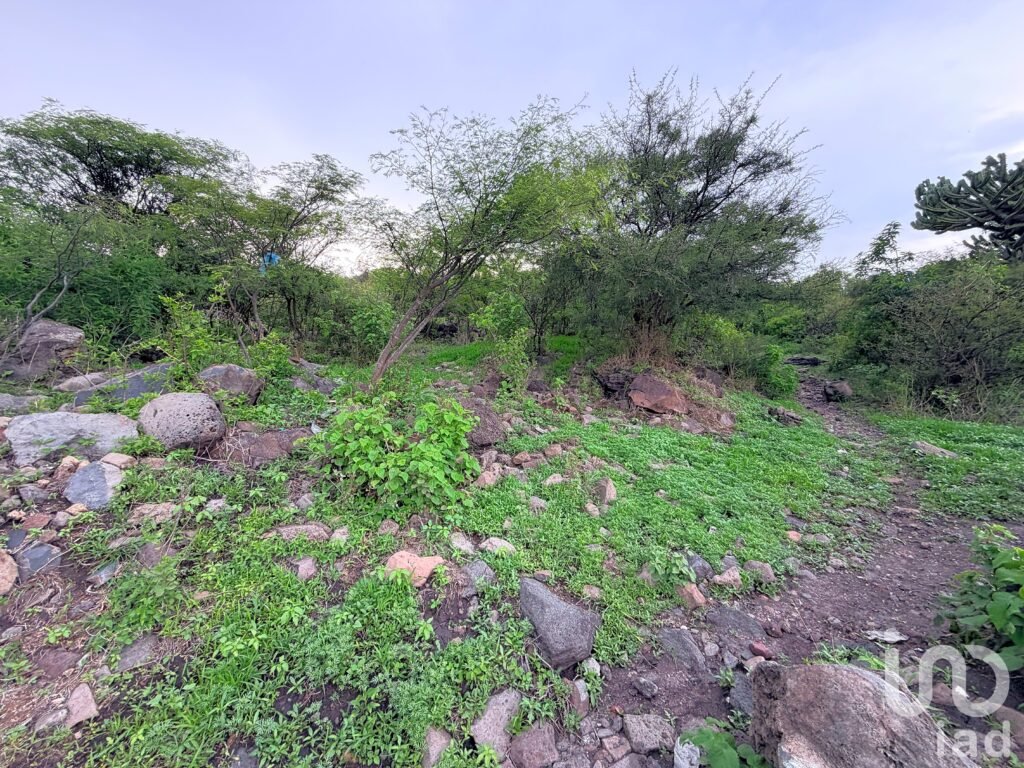 Terreno en Venta en la Noria, Huimilpan Querétaro
