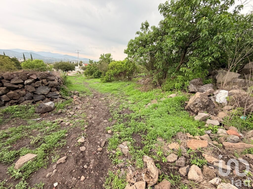 Terreno en Venta en la Noria, Huimilpan Querétaro