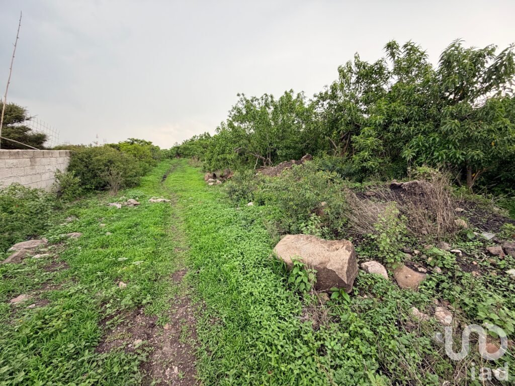 Terreno en Venta en la Noria, Huimilpan Querétaro