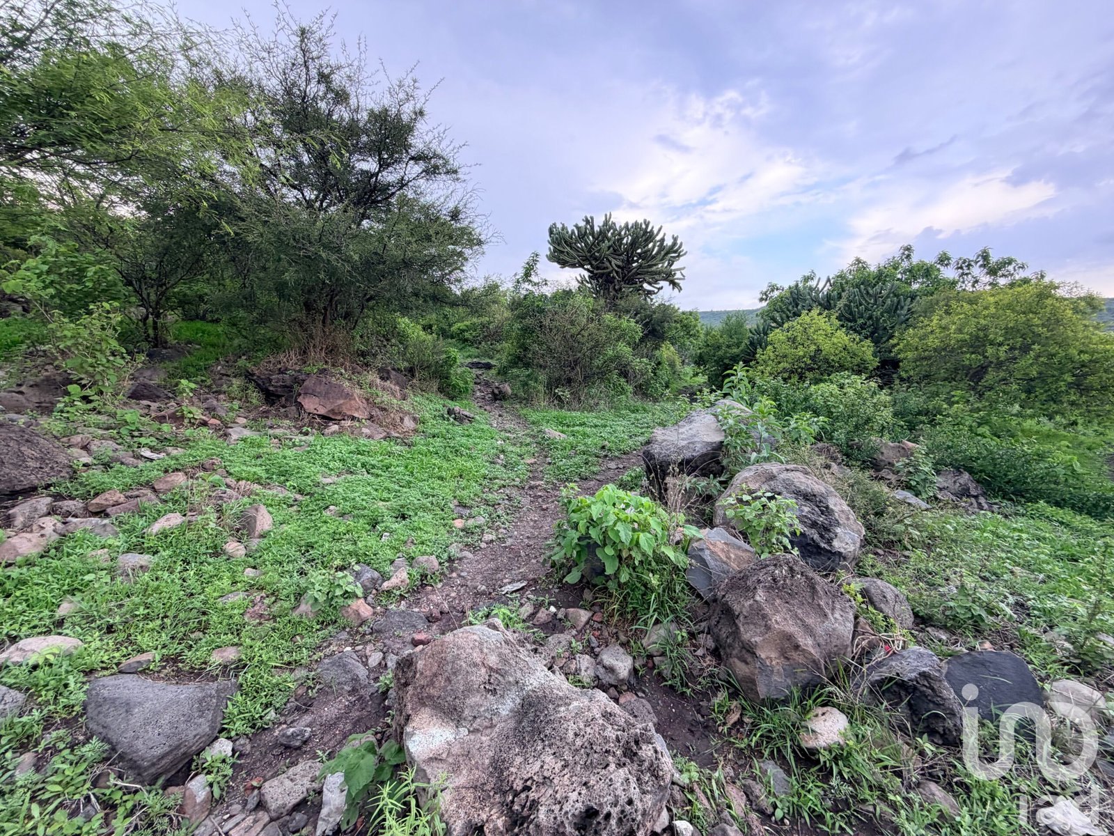 Terreno en Venta en la Noria, Huimilpan Querétaro Terreno en Venta en la Noria, Huimilpan Querétaro