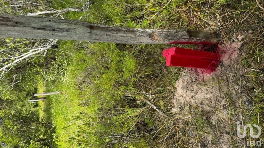 TERRENO EN VENTA HOLBOX LOTE 006