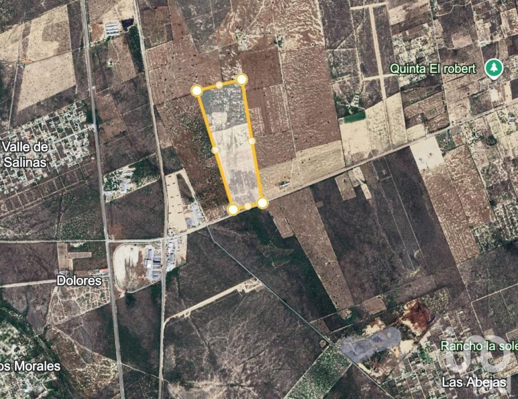 Terreno industrial de 45 ha en Salinas Victoria, a minutos de Hofusan y vía férrea