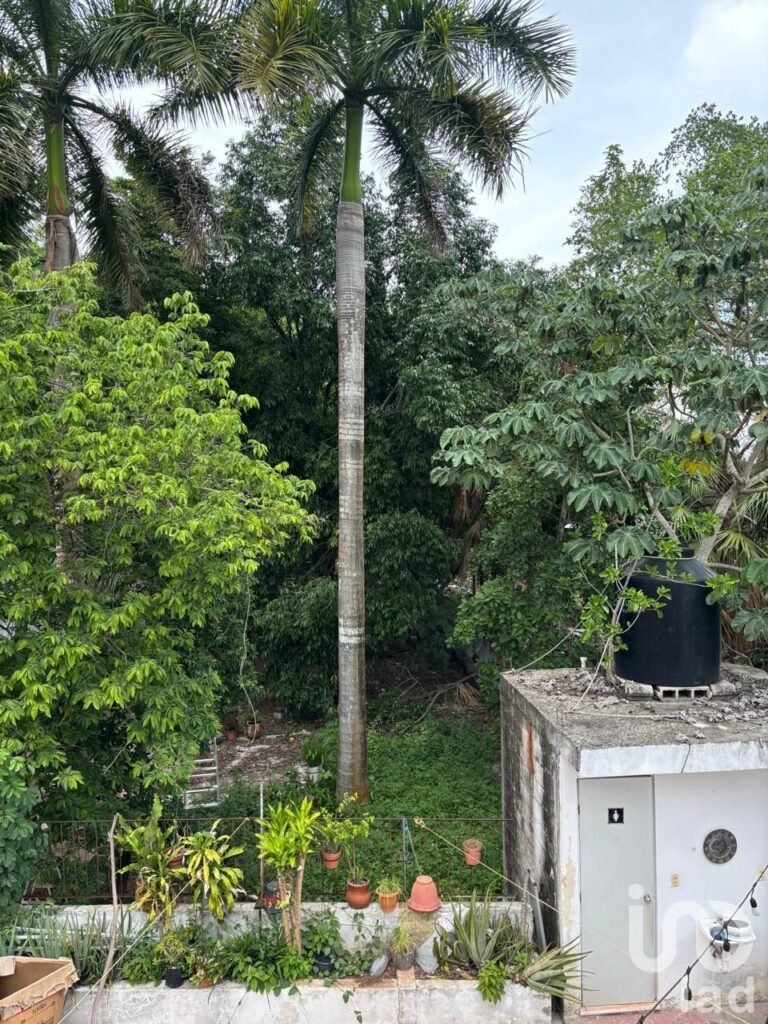 Terreno en venta En Pueblo Mágico  Valladolid Centro, Merida