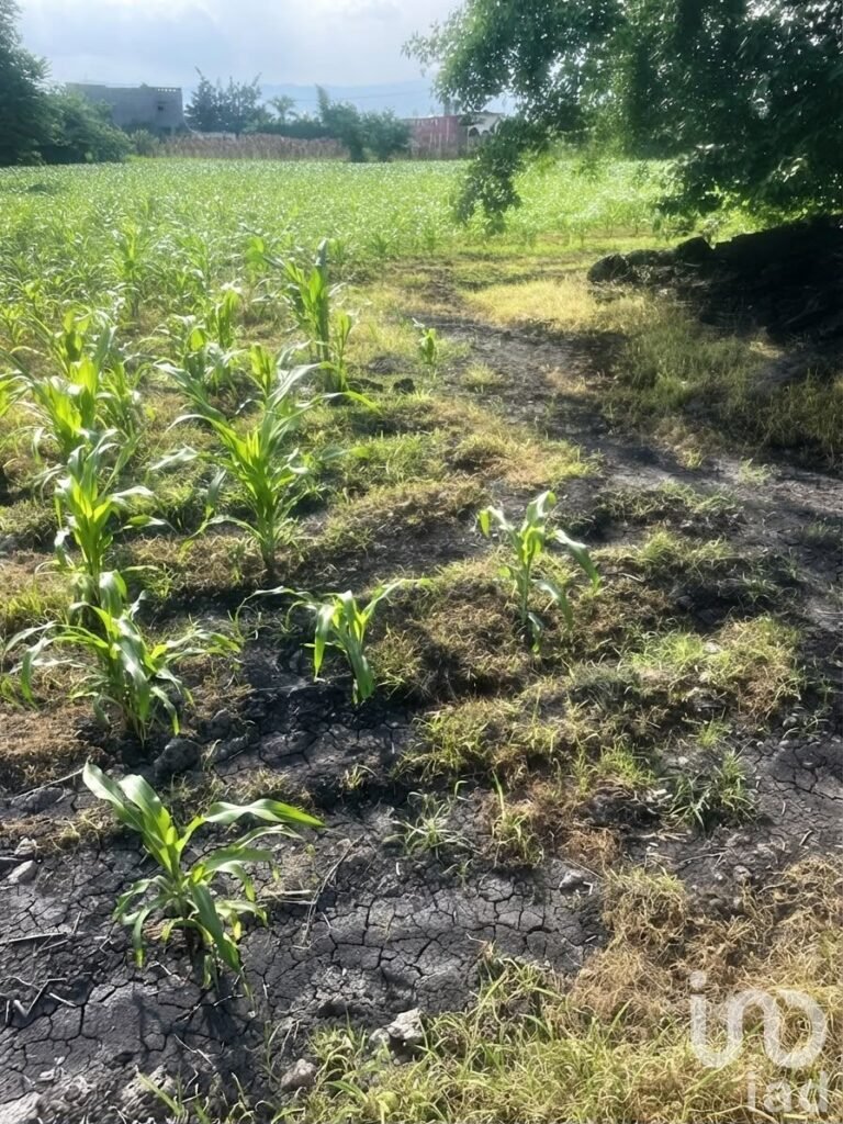 OPORTUNIDAD DE RESERVA TERRITORIAL EN VENTA ; EN CUERNAVACA MORELOS