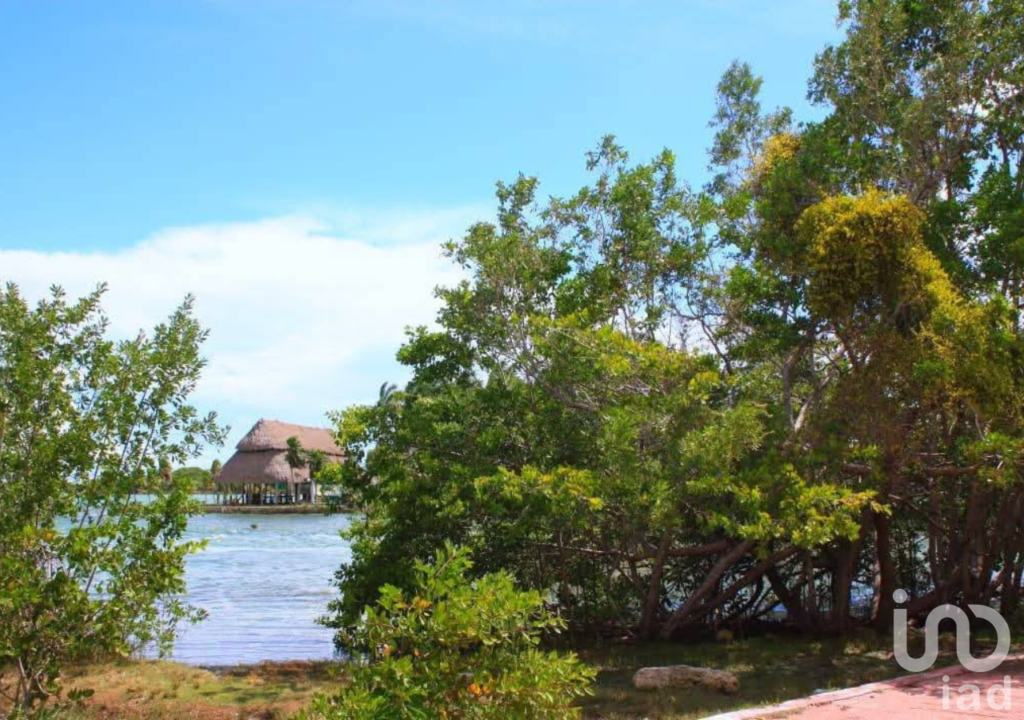 Terreno en venta en Raudales (Úrsulo Galván), Othón P. Blanco, Quintana Roo.