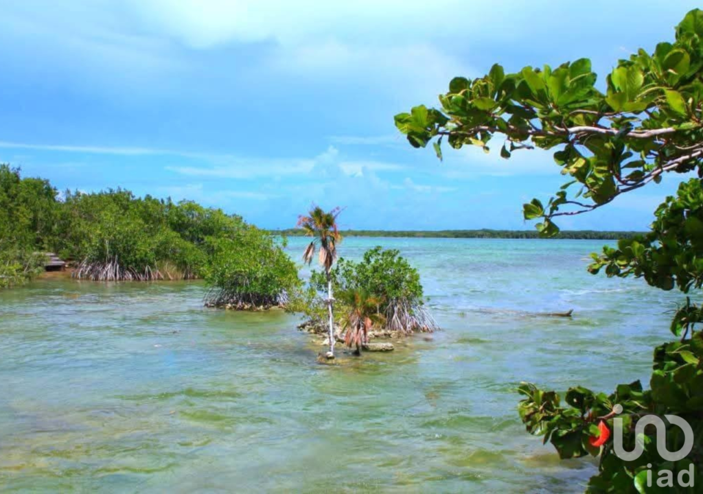 Terreno en venta en Raudales (Úrsulo Galván), Othón P. Blanco, Quintana Roo.