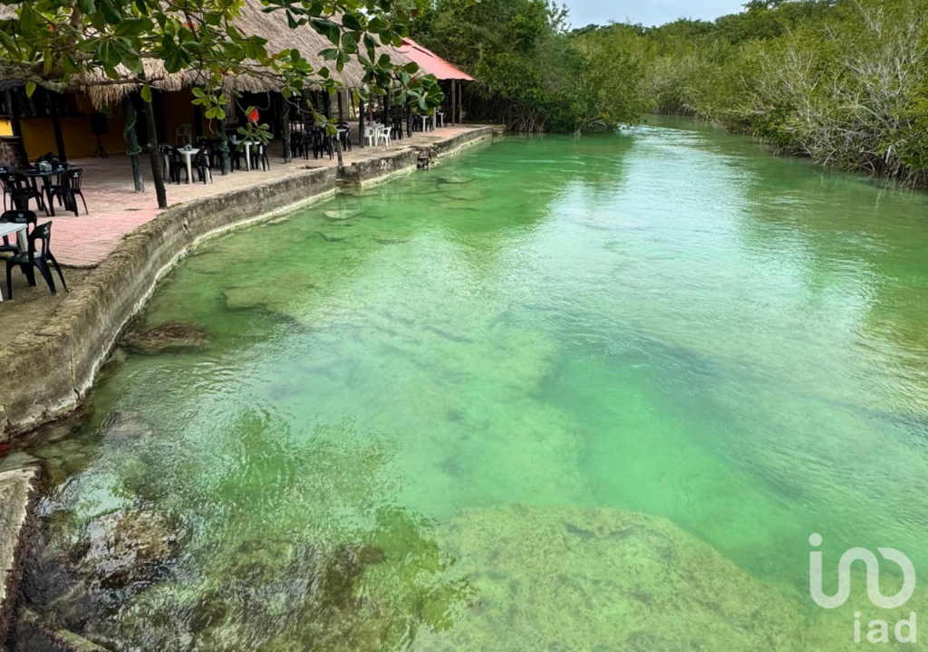 Terreno en venta en Raudales (Úrsulo Galván), Othón P. Blanco, Quintana Roo.