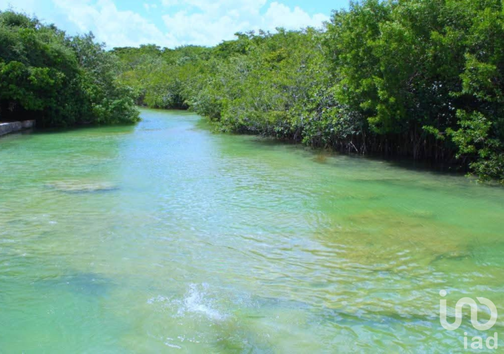 Terreno en venta en Raudales (Úrsulo Galván), Othón P. Blanco, Quintana Roo.