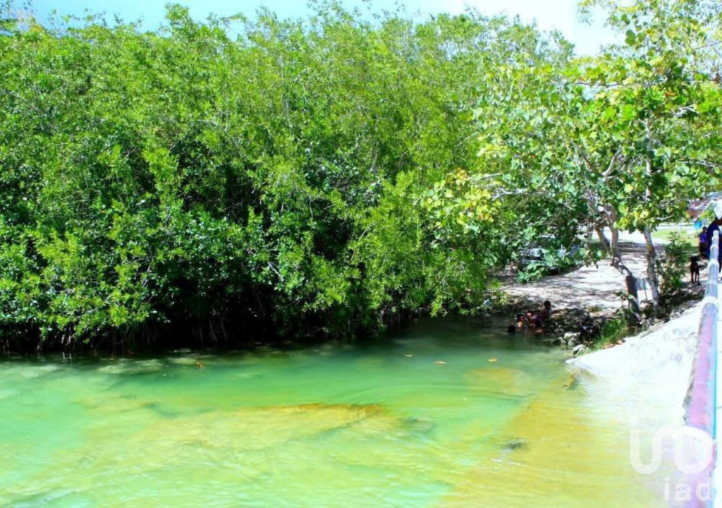 Terreno en venta en Raudales (Úrsulo Galván), Othón P. Blanco, Quintana Roo.