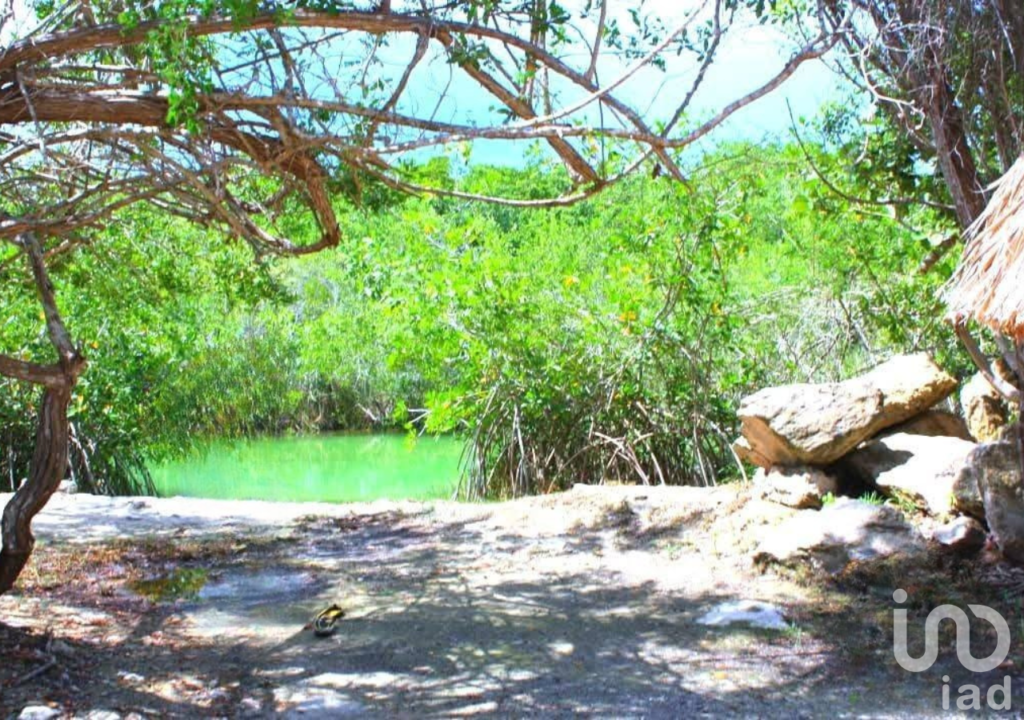 Terreno en venta en Raudales (Úrsulo Galván), Othón P. Blanco, Quintana Roo.