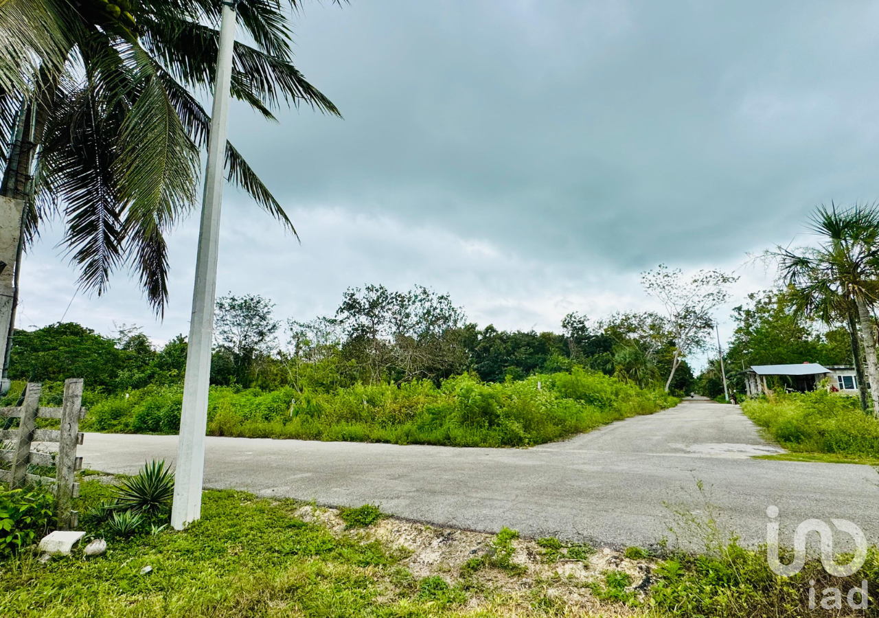 Terreno en venta en Raudales (Úrsulo Galván), Othón P. Blanco, Quintana Roo.