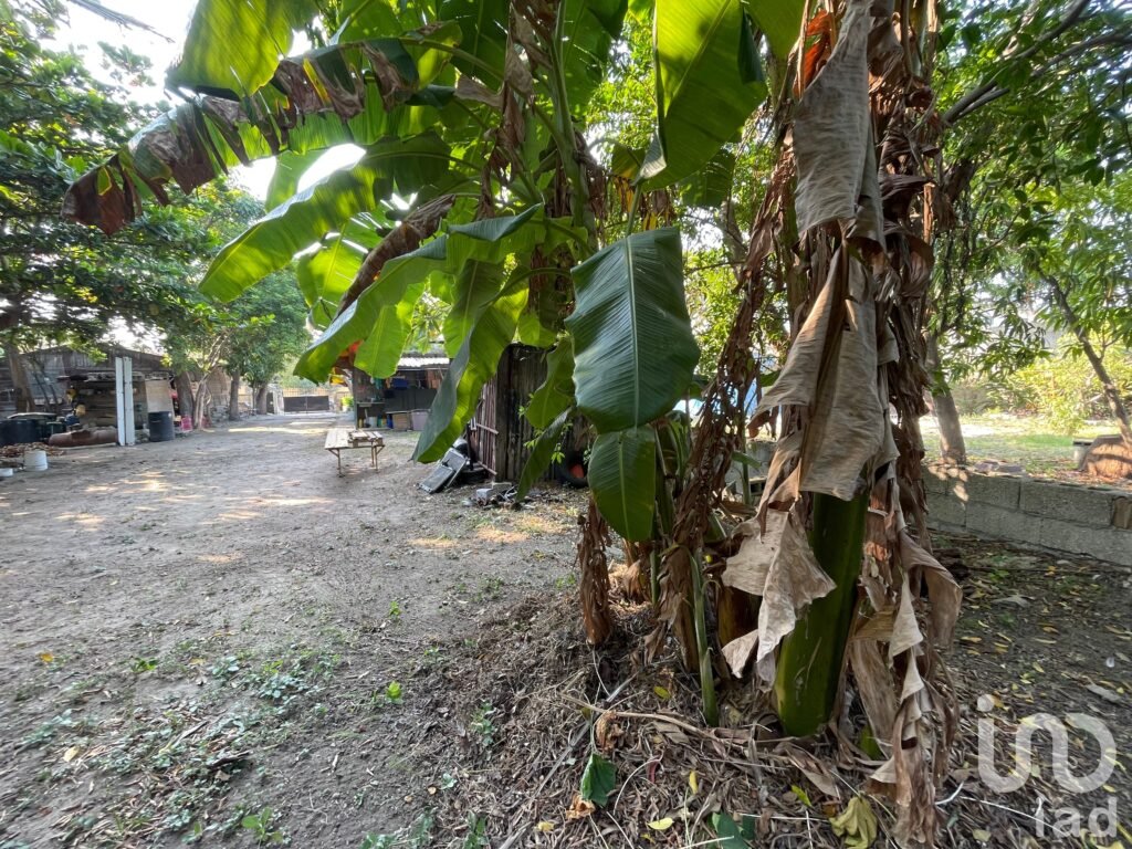 Terreno en venta Col Hipódromo Cd Madero Tamaulipas