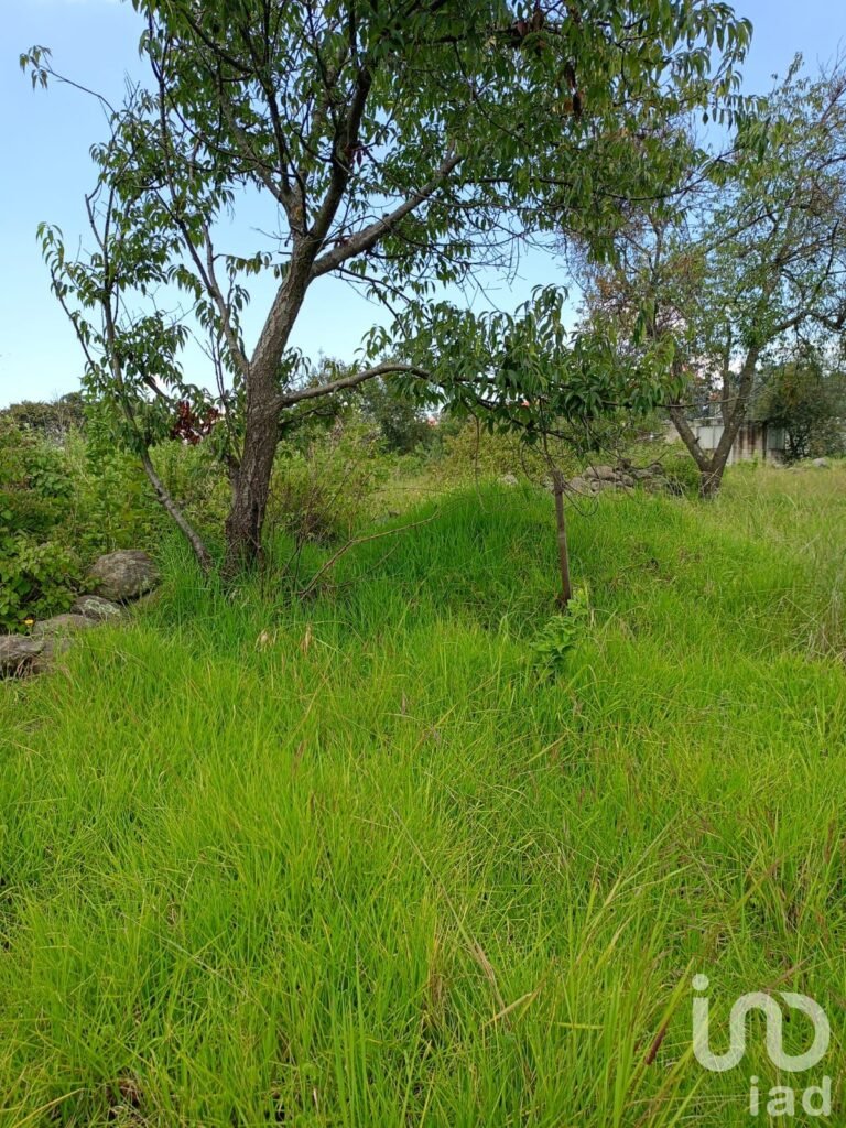 Terreno en Venta en Ocoyoacac, México