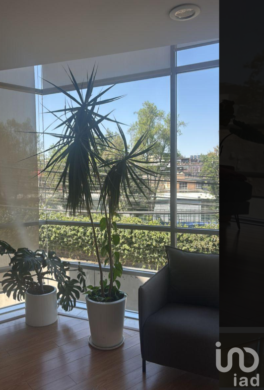 Departamento  en  Venta Lomas de Chapultepec CDMX