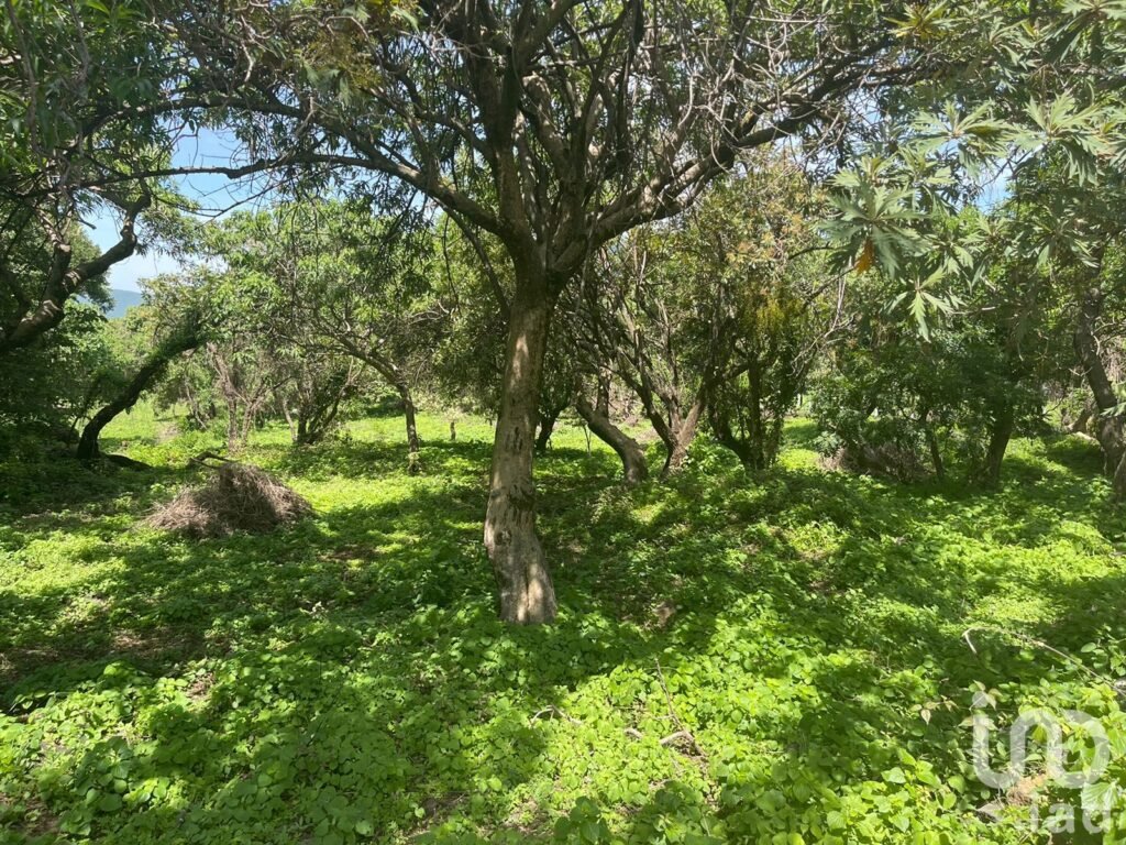 Lote en Tepoztlán a borde de Carretera, en Amatlán de Quetzalcóatl, Tepoztlán.