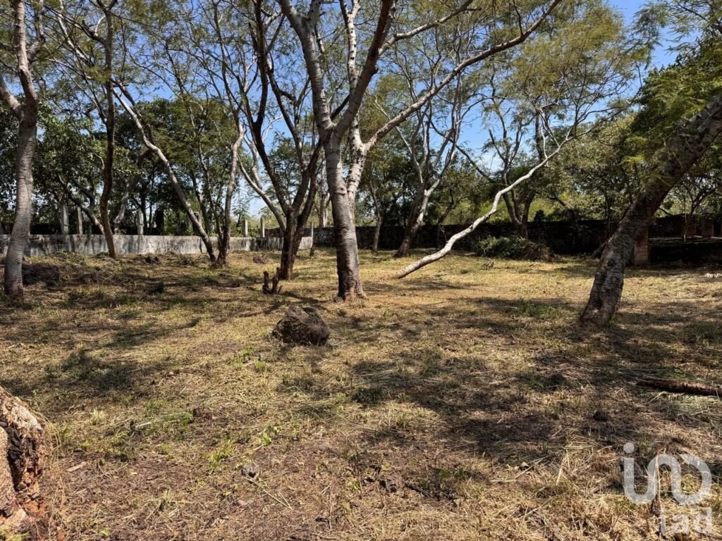 Lote 500 m² con fácil acceso en Tepoztlán.