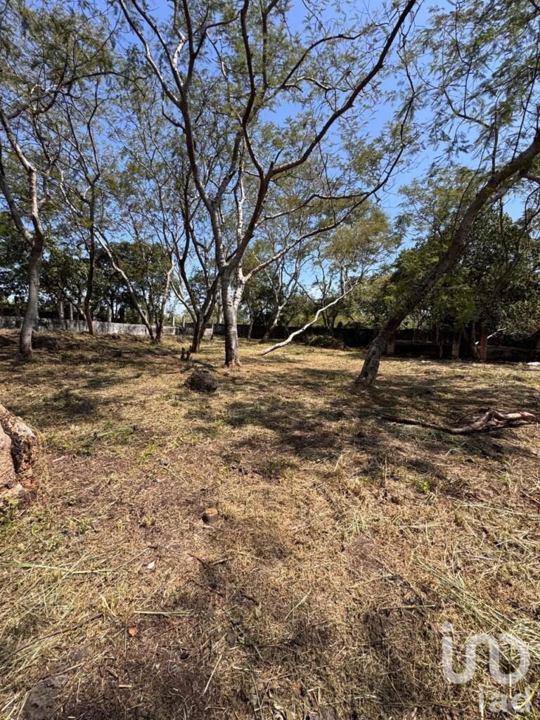 Lote 500 m² con fácil acceso en Tepoztlán.