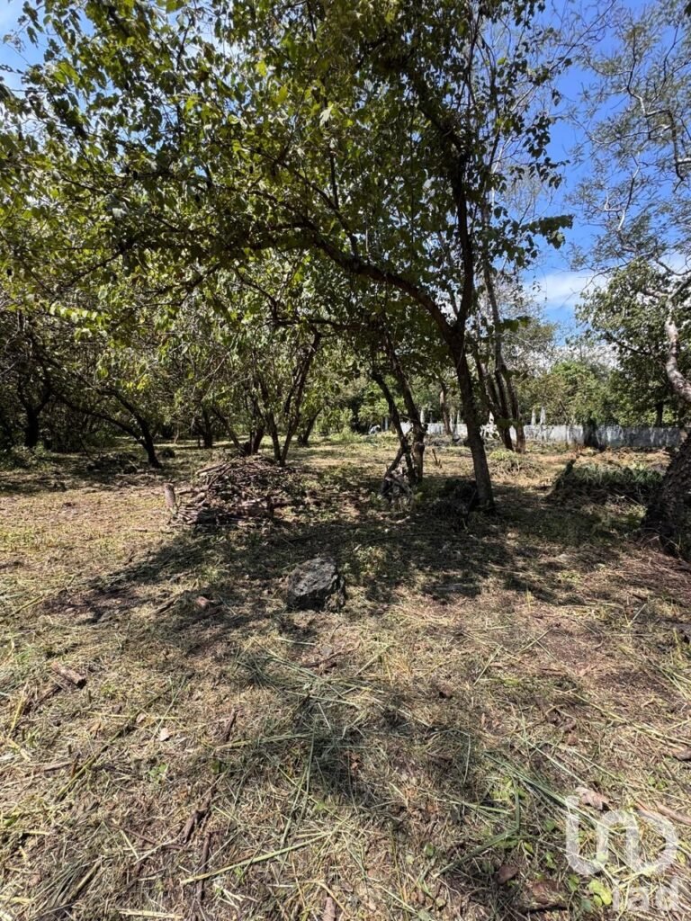 Lote 500 m² con fácil acceso en Tepoztlán.