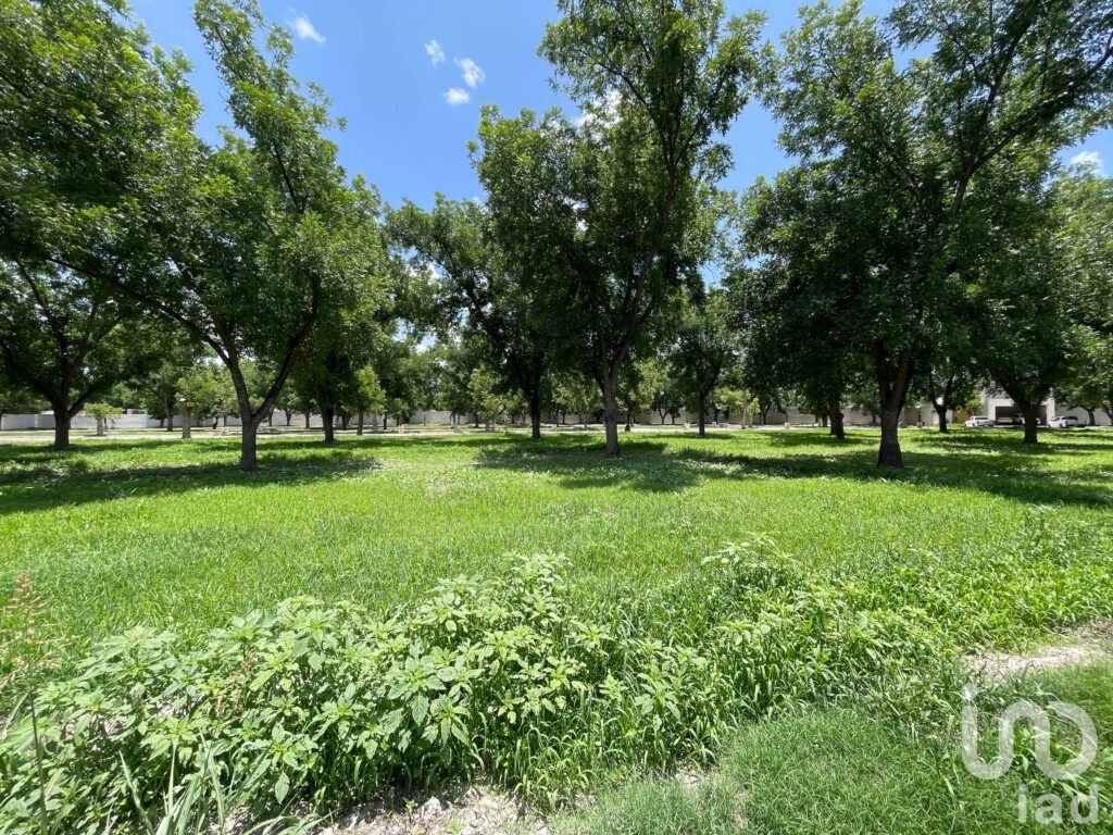 Terreno en Venta, Las Cuadras Country Club, Dentro de Espectacular Nogalera.