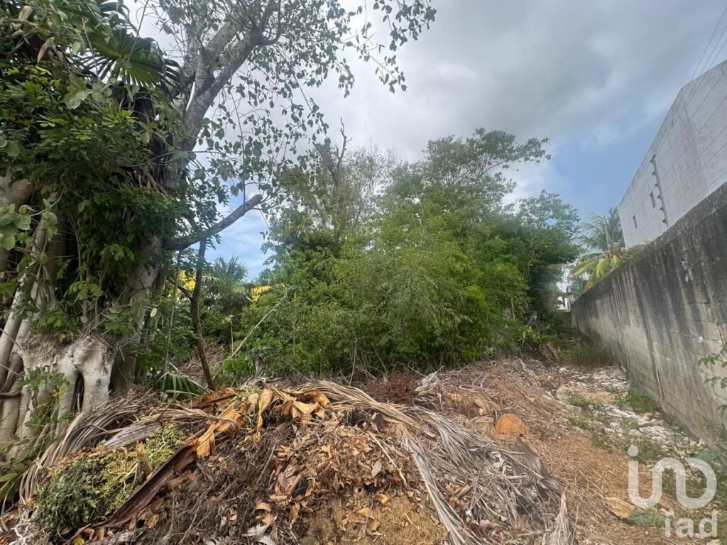 VENTA DE TERRENO EN AV. HUAYACÁN IDEAL PARA CONSTRUCCIÓN