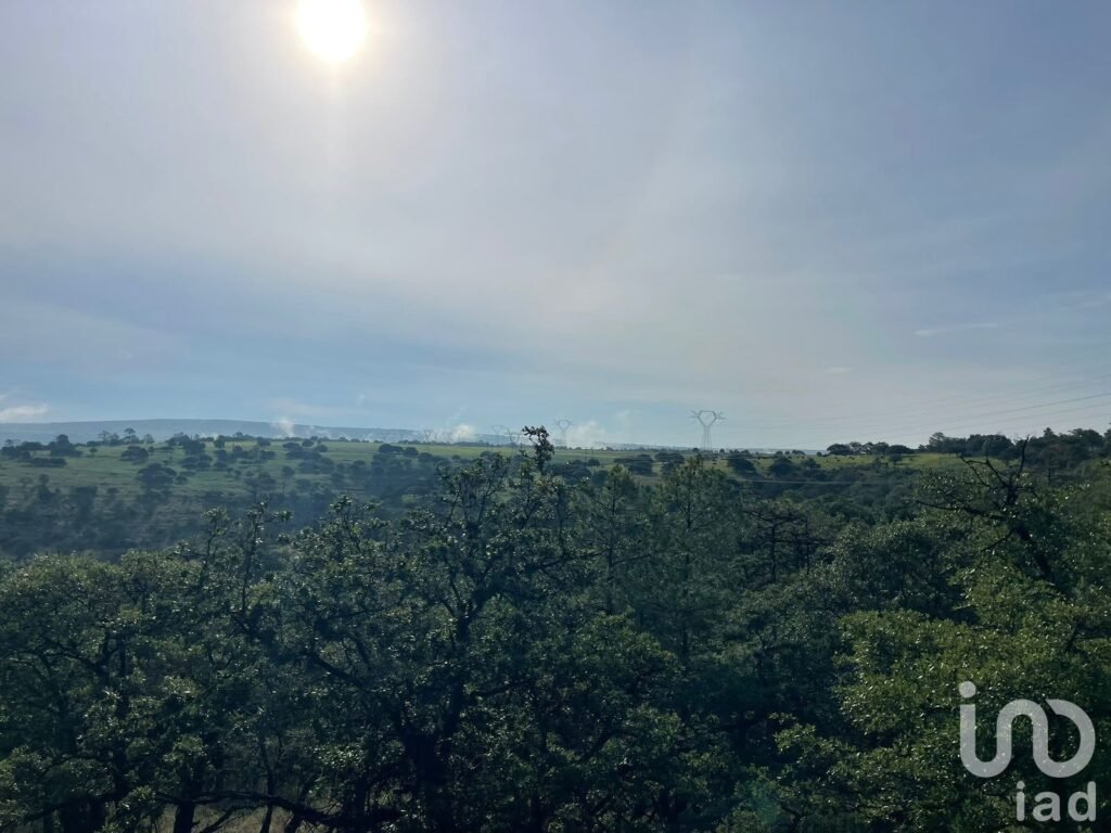 Terreno Rústico de 290 Ha en Venta, El Pino, Durango Uso Agroindustrial, Ganadero o Campestre