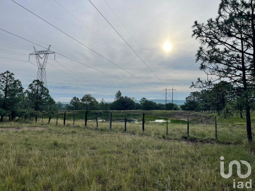 Terreno Rústico de 290 Ha en Venta, El Pino, Durango Uso Agroindustrial, Ganadero o Campestre
