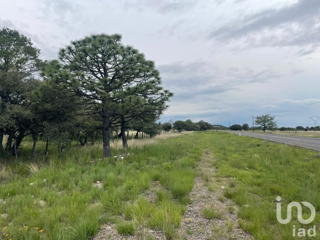 Terreno Rústico de 290 Ha en Venta, El Pino, Durango Uso Agroindustrial, Ganadero o Campestre