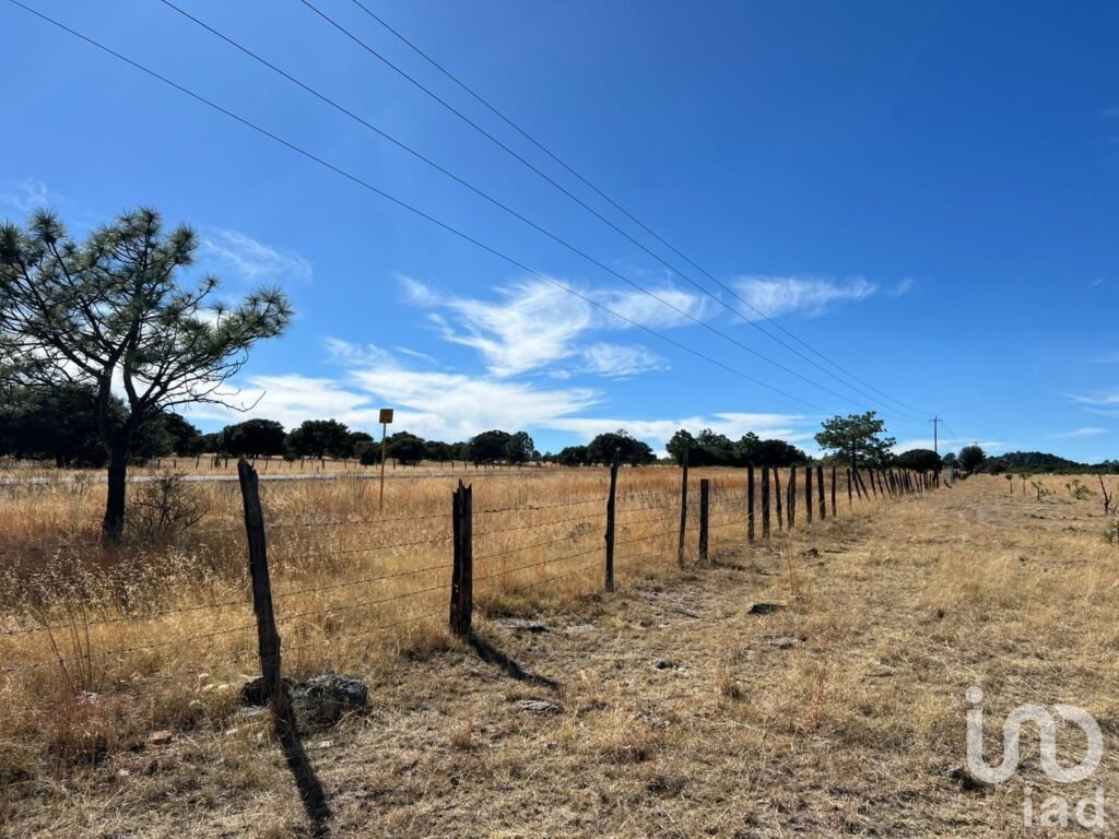 Terreno Rústico de 290 Ha en Venta, El Pino, Durango Uso Agroindustrial, Ganadero o Campestre