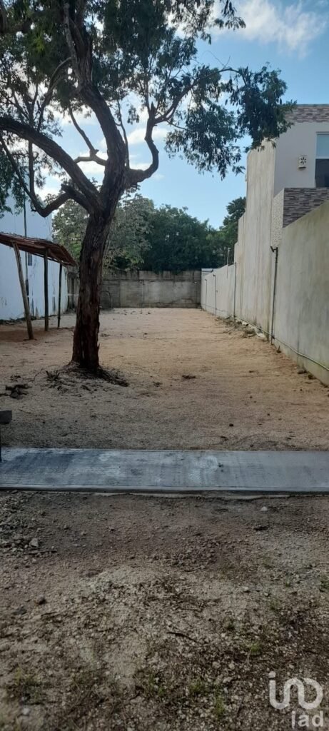 TERRENO EN RENTA DE 500 M² SOBRE AV. COLOSIO, CANCÚN