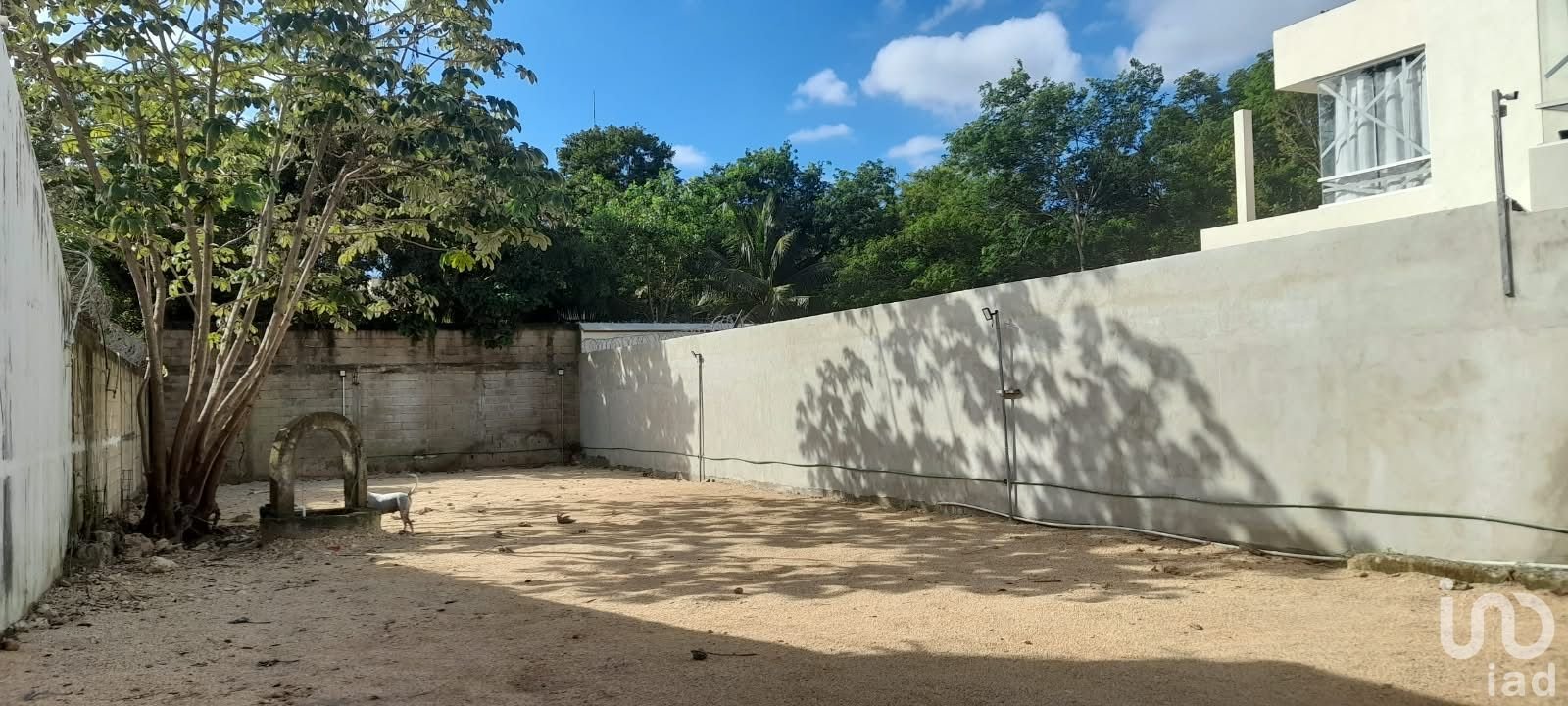 TERRENO EN RENTA DE 500 M² SOBRE AV. COLOSIO, CANCÚN