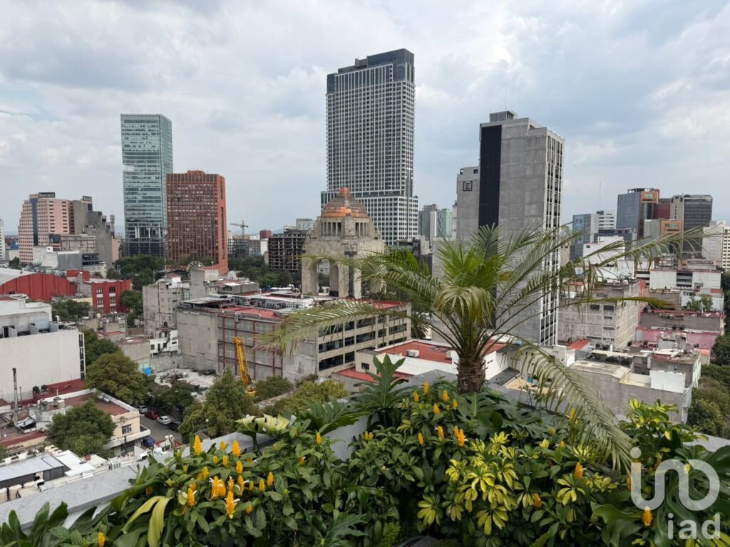 Centrico Departamento en Insurgentes (Col.Tabacalera)