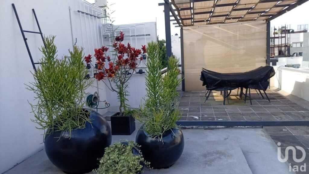 Departamento de 1 recámara en Renta — Benito Juárez